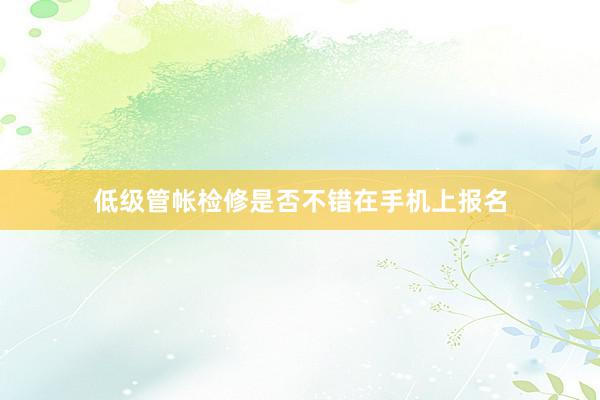 低级管帐检修是否不错在手机上报名